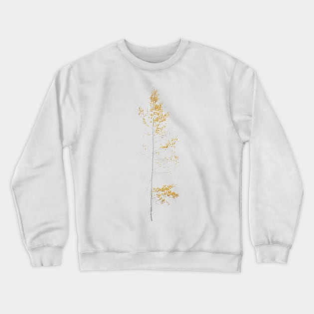 autumn aspen Crewneck Sweatshirt by pholange